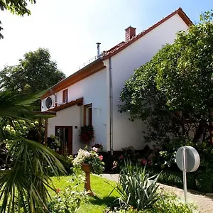 https://pension-fg.dresdenhotels.net